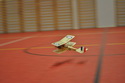 Bristol Scout