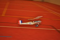 Bristol Scout