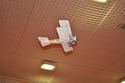 Bristol Scout
