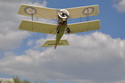 Bristol Scout