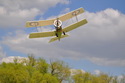 Bristol Scout