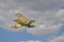 Bristol Scout