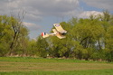 Bristol Scout