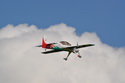 Sukhoi 29S 50E