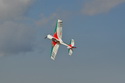 Sukhoi 29S 50E