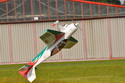 Sukhoi 29S 50E