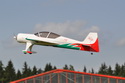 Sukhoi 29S 50E
